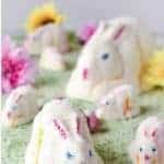 Marshmallow Easter bunnies on green coconut grass