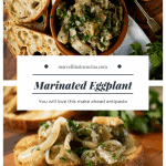 Marinated Eggplant Pin