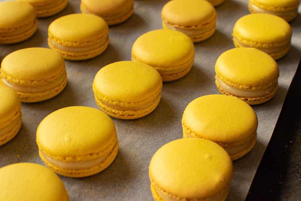 Lemon Macarons #lemonmacarons #lemon #macarons #macaron Lemon macarons finished and lined up in rows