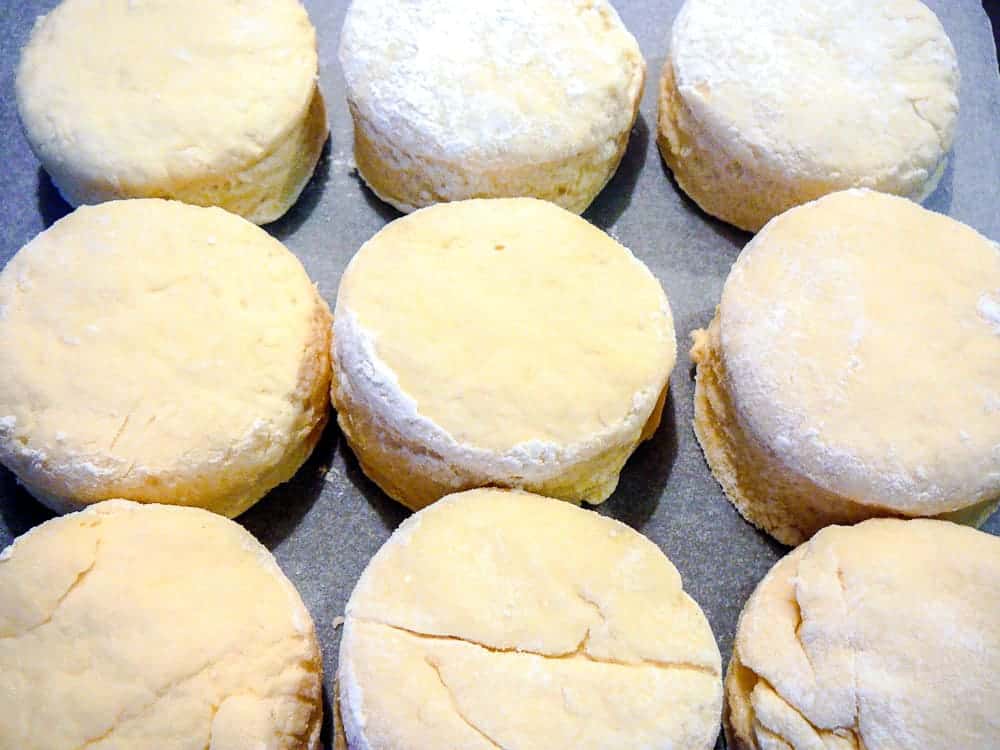 This is the Best Scone recipe I have ever tried! Light and fluffy scones made easily! #scones #bestscones #basicscones #sconesjamandcream Rounds cut from soft dough on a baking sheet.