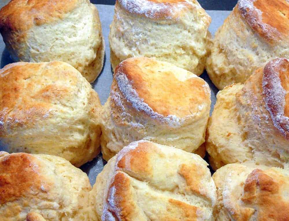 This is the Best Scone recipe I have ever tried! Light and fluffy scones made easily! #scones #bestscones #basicscones #sconesjamandcream Nine golden brown baked scones in 3 by 3 formation.