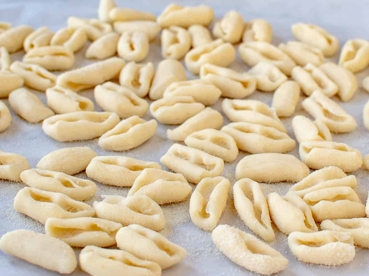 Homemade eggless pasta shaped with an indentation in each.