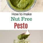 two images with text in between top image is food processor with basil pesto in it and a yellow rubber spatula covered in pesto viewed from above; bottom image is glass jar of basil pesto with a spoonful being spooned out, fresh basil in the background. Text reads "how to make nut free pesto".