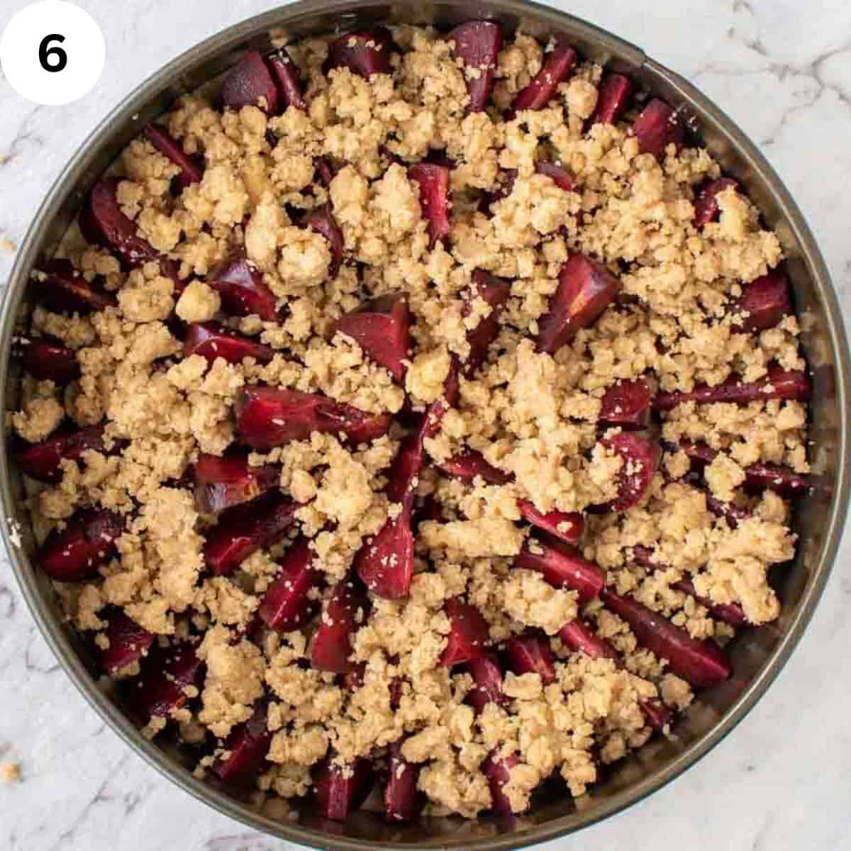 Overhead view of streusel on slices of plum in a cake pan.