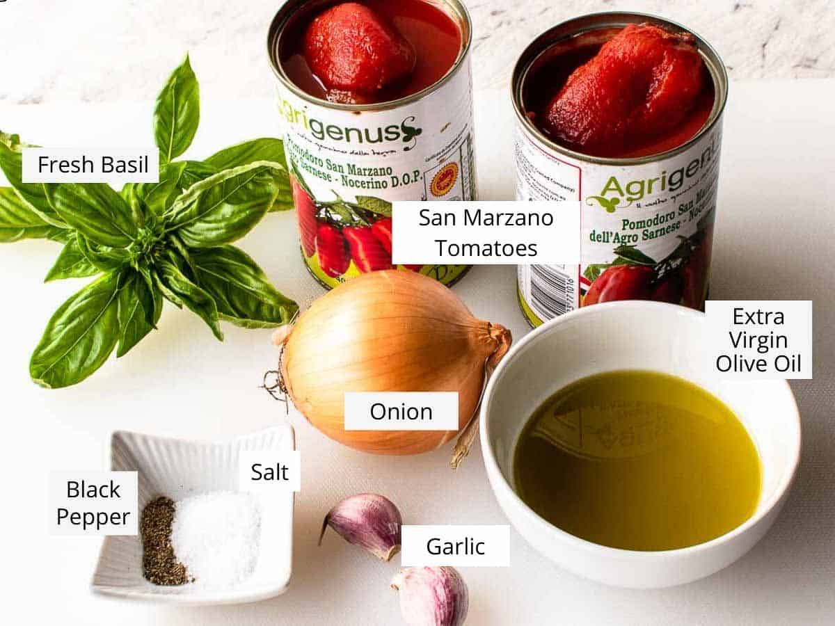 Ingredients to make the recipe prepared on the counter top.