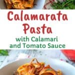 Calamarata pasta in a bowl on red check cloth with red pan in the background.