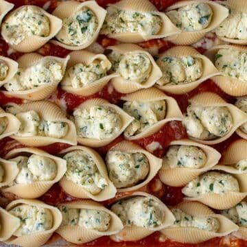 Filled giant pasta shells arranged in rows on red tomato sauce.