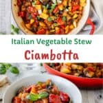 Ciambotta in a bowl with more in the background in a round pan.