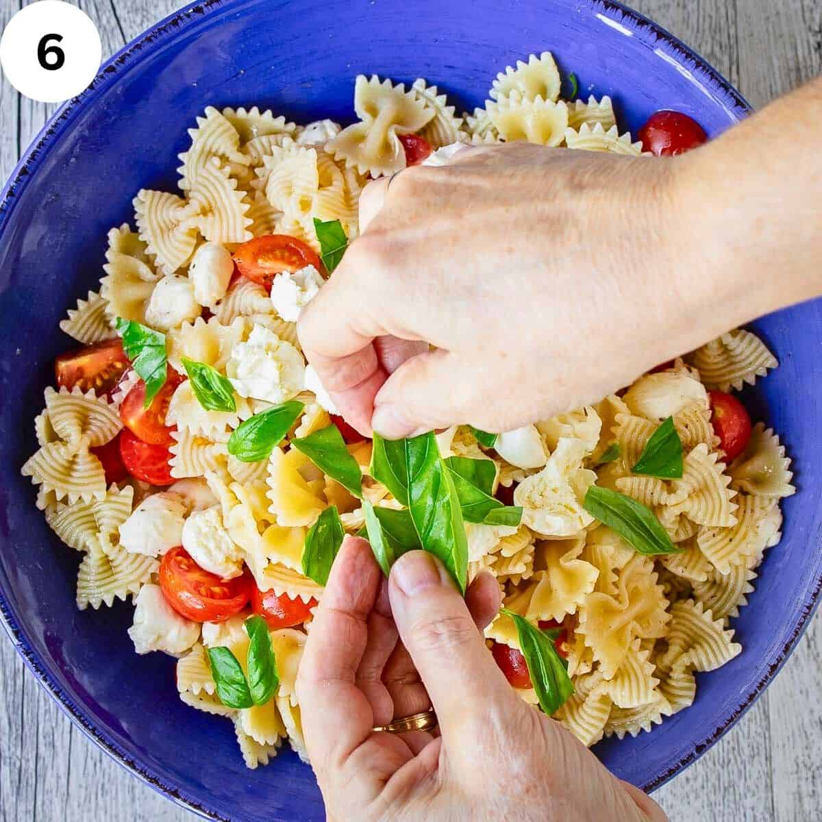 Tearing basil into pasta salad.